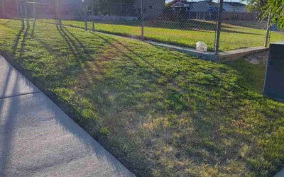 Photo of Donna S.'s yard after getting lawn care in Olympia, WA