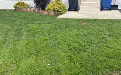 Photo of Bryan A.'s yard after getting lawn care in Salem, NJ