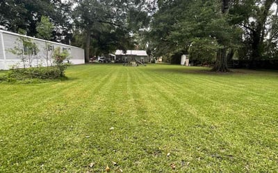 Photo of Buddy K.'s yard after getting lawn care in Saint Martinville, LA