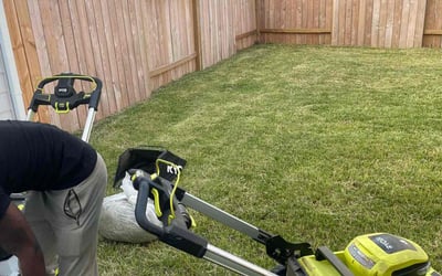 Photo of Elsa B.'s yard after getting lawn care in Wheeling, IL