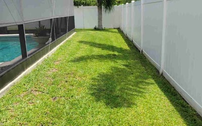 Photo of Khaled S.'s yard after getting lawn care in Winter Park, FL