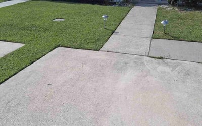 Photo of Phong T.'s yard after getting lawn care in Arlington, VA