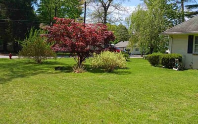 Photo of Howard W.'s yard after getting lawn care in Northborough, MA