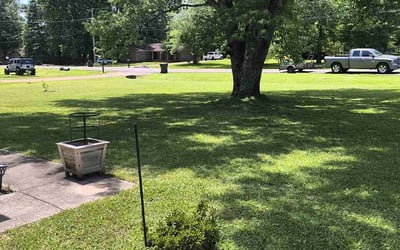 Photo of Erica J.'s yard after getting lawn care in Huntsville, AL