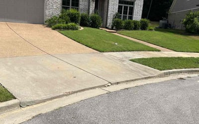 Photo of Nicholas P.'s yard after getting lawn care in Trenton, NJ