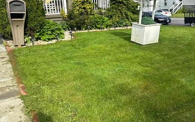 Photo of Kathleen D.'s yard after getting lawn care in Oceanside, NY
