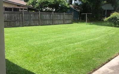 Photo of Clifton J.'s yard after getting lawn care in Plaquemine, LA