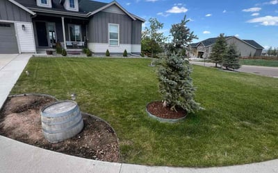 Photo of Brenda F.'s yard after getting lawn care in Lake Elsinore, CA