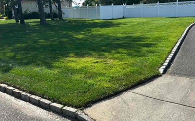 Photo of Delete D.'s yard after getting lawn care in Barberton, OH