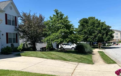 Photo of Logan M.'s yard after getting lawn care in Eldersburg, MD