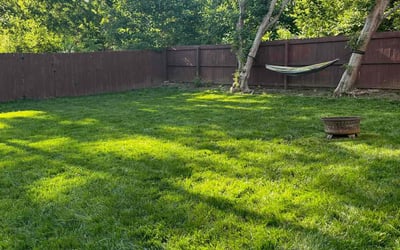 Photo of Joe S.'s yard after getting lawn care in Lusby, MD