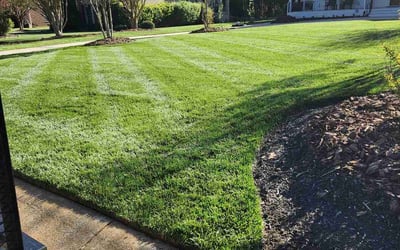 Photo of Amber B.'s yard after getting lawn care in Knoxville, TN