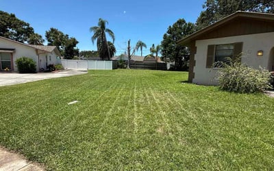 Photo of Daniel R.'s yard after getting lawn care in Collegeville, PA