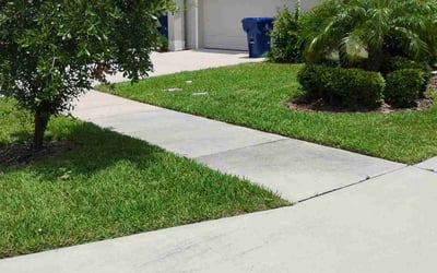 Photo of Sharyne K.'s yard after getting lawn care in New Berlin, WI