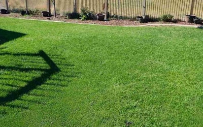 Photo of Eduarda B.'s yard after getting lawn care in Eagle Mountain, UT