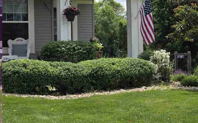 Photo of Jerry F.'s yard after getting lawn care in Culpeper, VA