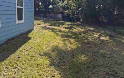 Photo of Jack W.'s yard after getting lawn care in Sevierville, TN