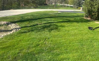Photo of JOY J.'s yard after getting lawn care in Lemont, IL