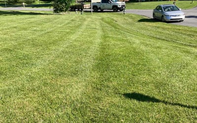 Photo of Greg S.'s yard after getting lawn care in Olney, MD