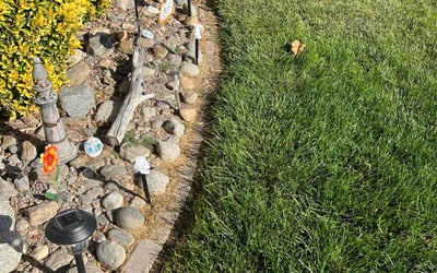 Photo of Brenda J.'s yard after getting lawn care in San Jacinto, CA