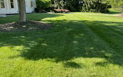 Photo of Sara M.'s yard after getting lawn care in Hudson, OH