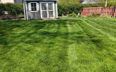 Photo of Richard M.'s yard after getting lawn care in Heath, OH