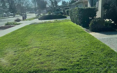 Photo of Jeane G.'s yard after getting lawn care in Gilroy, CA