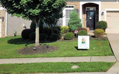 Photo of Todd S.'s yard after getting lawn care in Erie, PA