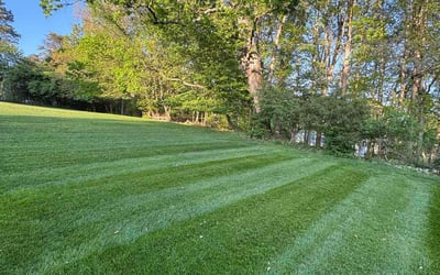 Photo of dottie c.'s yard after getting lawn care in Potomac, MD