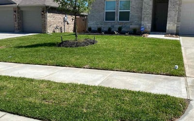 Photo of Chris T.'s yard after getting lawn care in Cary, NC