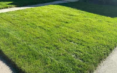 Photo of Ciara S.'s yard after getting lawn care in Kenosha, WI