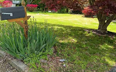 Photo of Matthew W.'s yard after getting lawn care in Wethersfield, CT