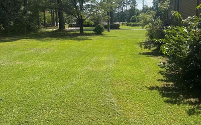 Photo of Sherese M.'s yard after getting lawn care in New Britain, CT