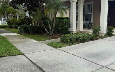 Photo of Latrice J.'s yard after getting lawn care in Bayside, NY