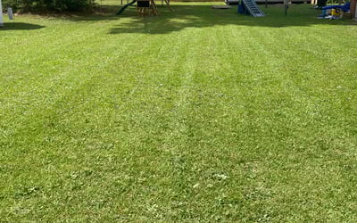 Photo of Erica C.'s yard after getting lawn care in Powhatan, VA