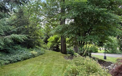 Photo of Jennileen J.'s yard after getting lawn care in Boston, MA