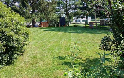 Photo of Amber T.'s yard after getting lawn care in Chevy Chase, MD