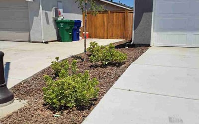 Photo of Tracy G.'s yard after getting lawn care in Truckee, CA