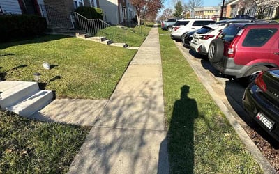 Photo of Robin A.'s yard after getting lawn care in Halethorpe, MD