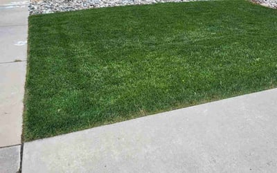 Photo of Aaron M.'s yard after getting lawn care in Cranston, RI