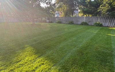 Photo of Rachael A.'s yard after getting lawn care in Portland, TX