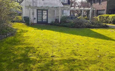 Photo of Laurel W.'s yard after getting lawn care in Macon, GA