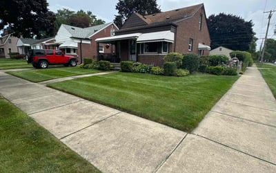 Photo of Kim W.'s yard after getting lawn care in Hamtramck, MI