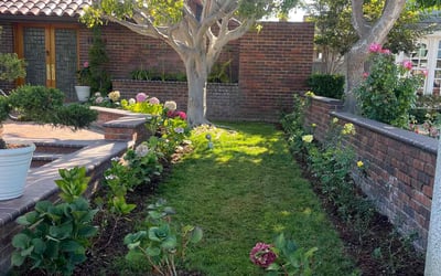 Photo of Alec D.'s yard after getting lawn care in Huntington Beach, CA