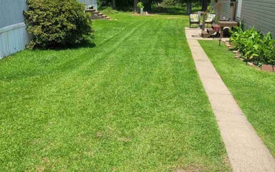 Photo of Tiffany S.'s yard after getting lawn care in Broomall, PA