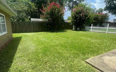 Photo of Cheryl W.'s yard after getting lawn care in Tarpon Springs, FL