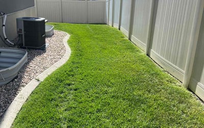 Photo of Dax L.'s yard after getting lawn care in Clinton, UT