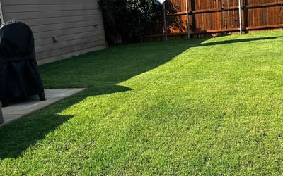 Photo of Margaret J.'s yard after getting lawn care in Sherman, TX