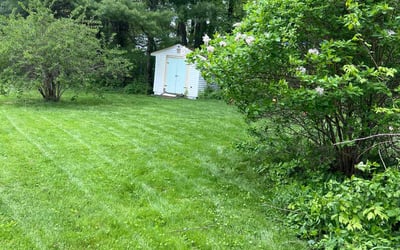 Photo of Don P.'s yard after getting lawn care in Abington, MA