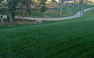 Photo of Greg N.'s yard after getting lawn care in Wentzville, MO